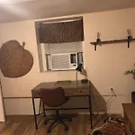 Jungle Theme