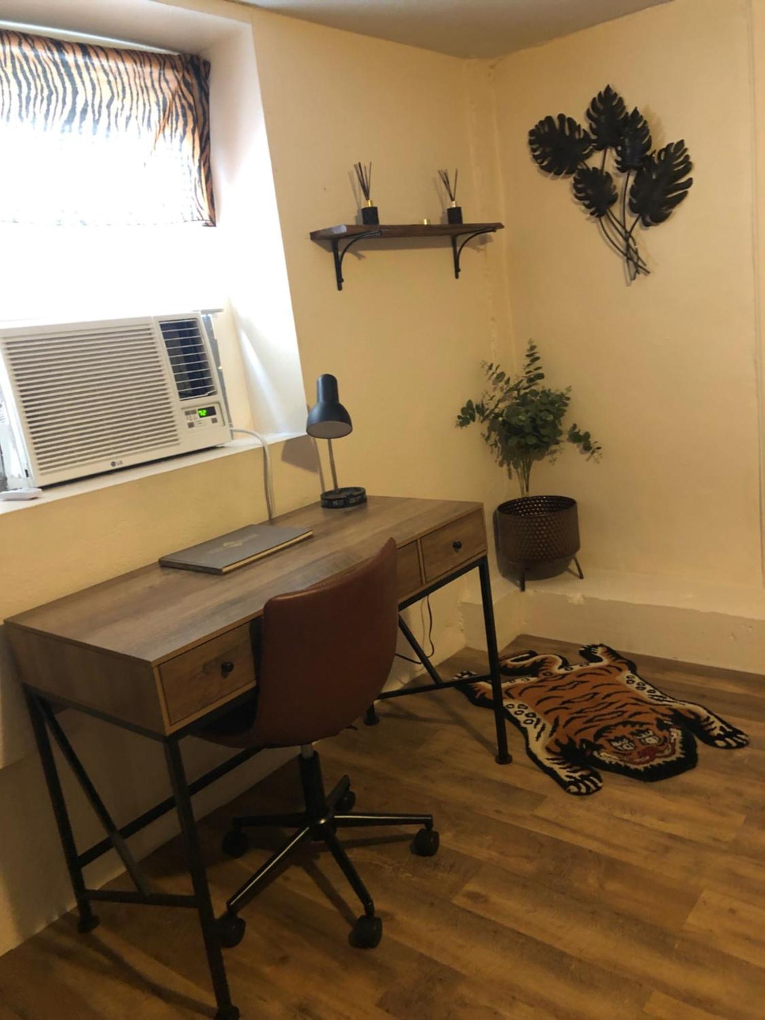 Jungle Theme Apartment New Orleans
