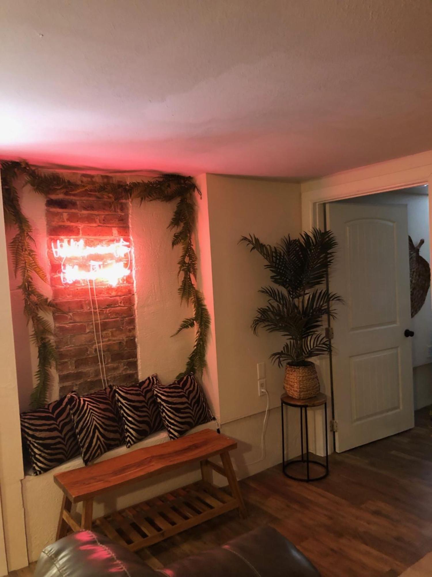 Jungle Theme *