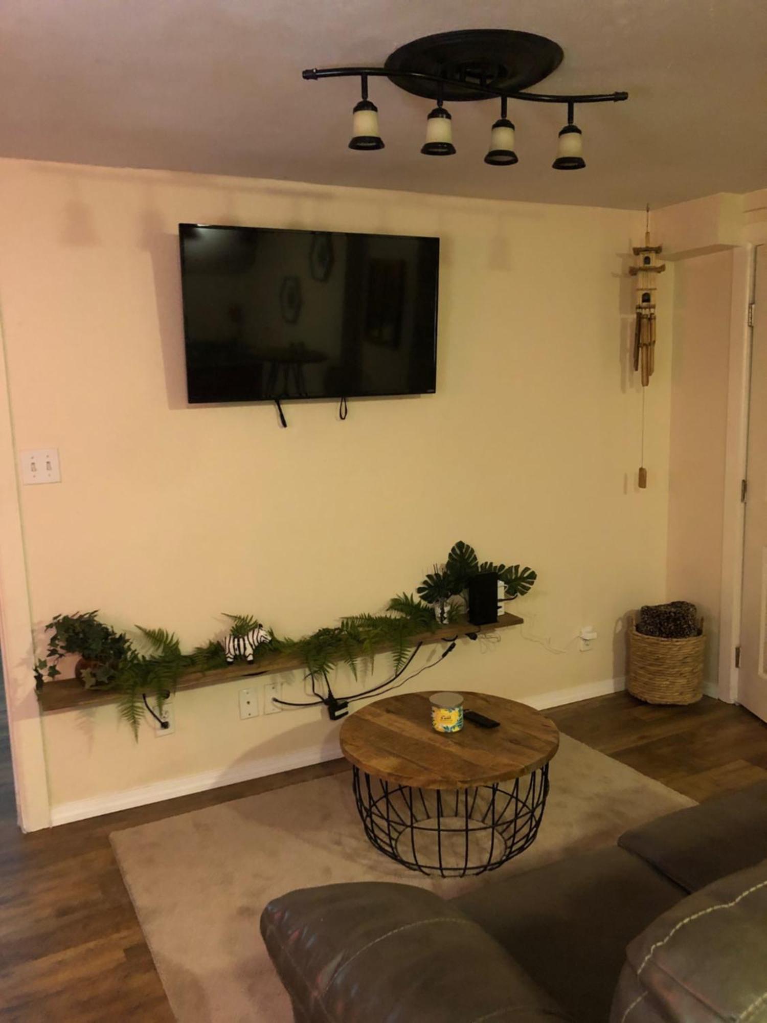 Apartment Jungle Theme